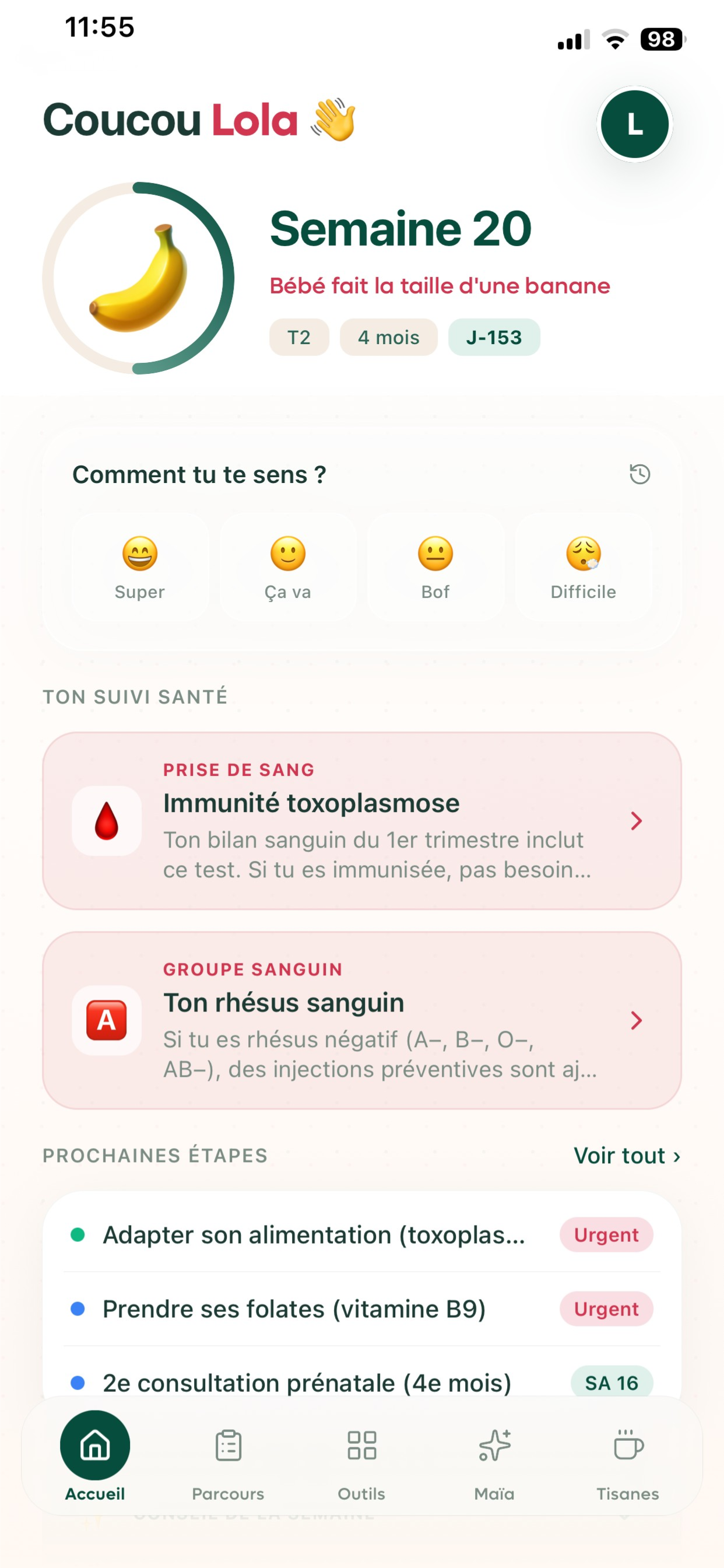 Dashboard Orgamama — Semaine 20